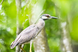 20260509-0090-Edit-2.jpg