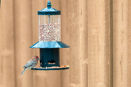 20260510-0122-Edit-2.jpg