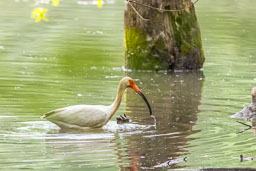 20260509-0038-Edit-2.jpg